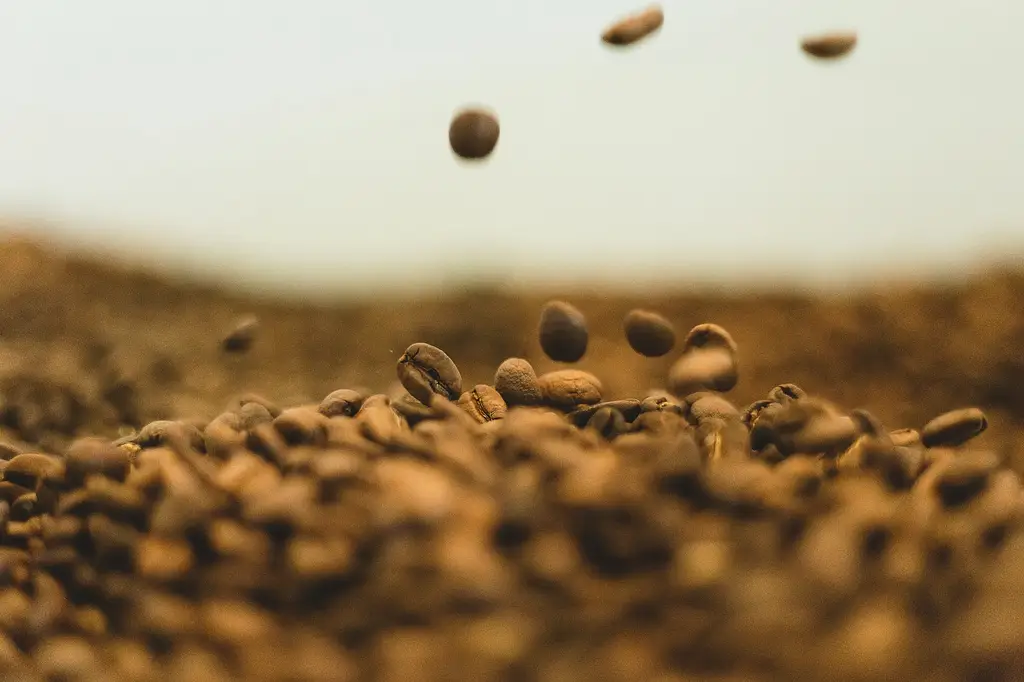 焦糖瑪奇朵vs.焦糖拿鐵：台灣用語懶人包