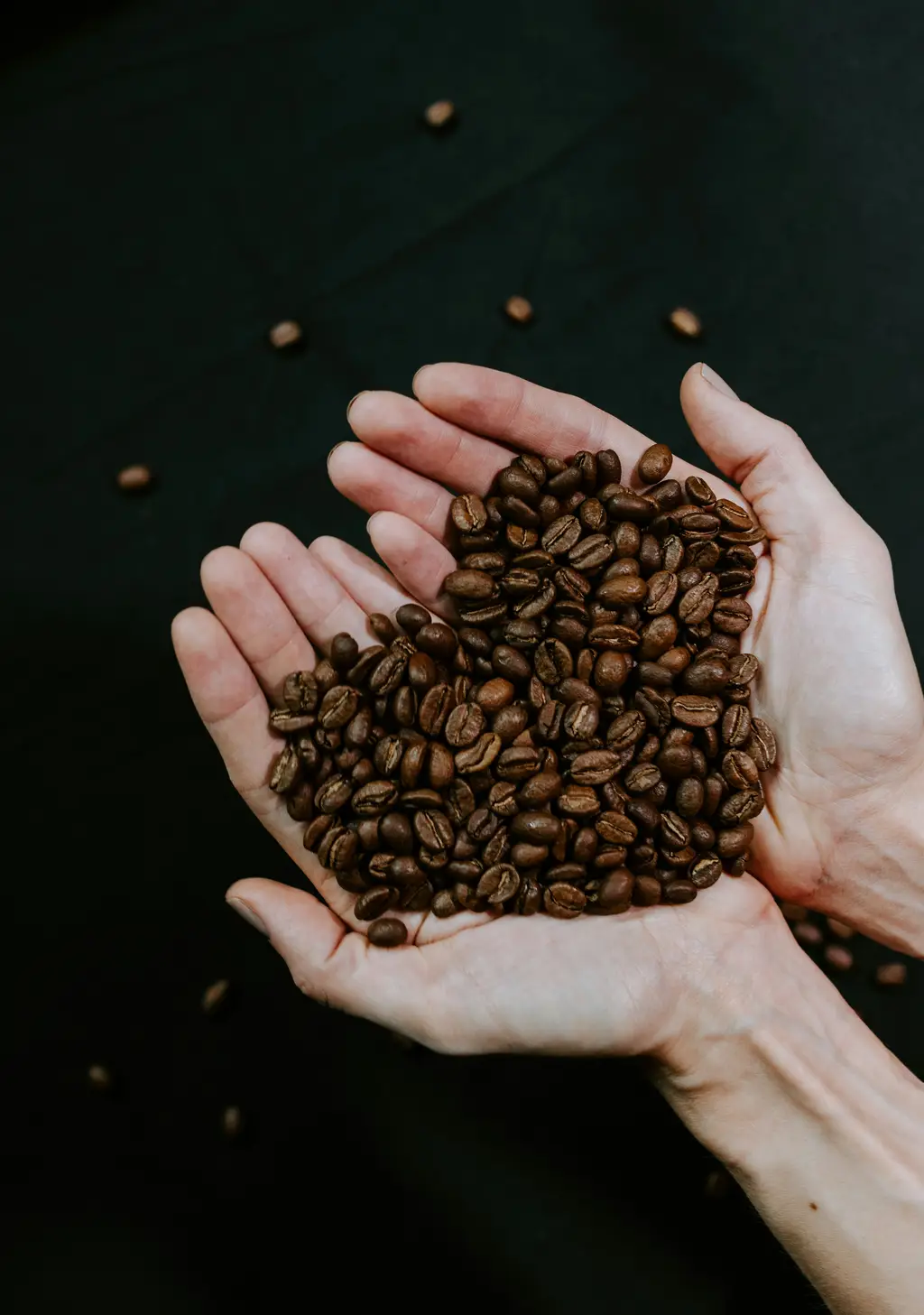 燕麥奶拿鐵Starbucks:台灣最強奶素飲品!